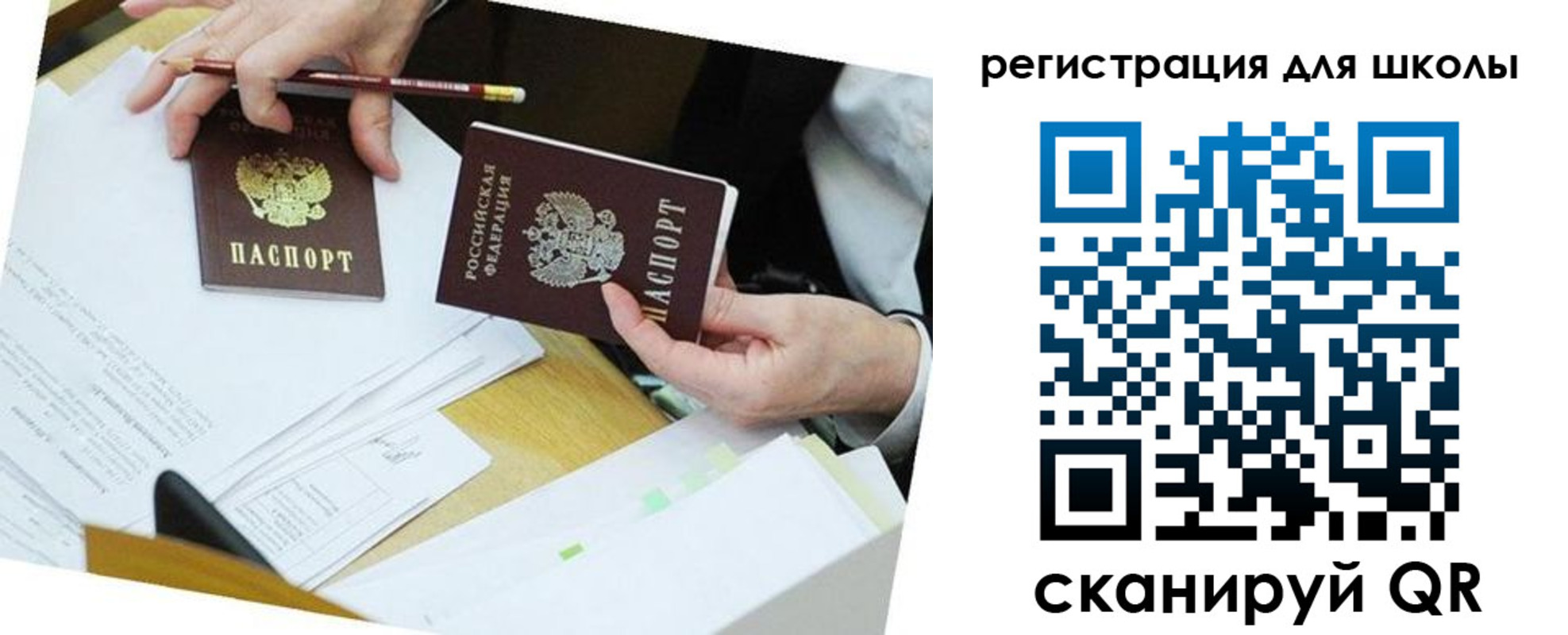прописка в Кольчугино